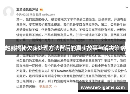赵鹏揭秘欠薪处理方法背后的真实故事与解决策略