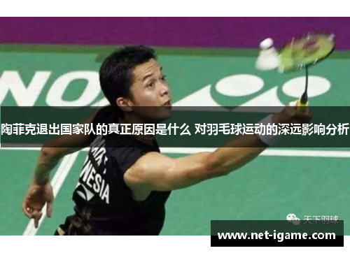 陶菲克退出国家队的真正原因是什么 对羽毛球运动的深远影响分析
