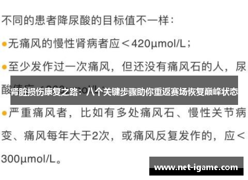 肾脏损伤康复之路：八个关键步骤助你重返赛场恢复巅峰状态