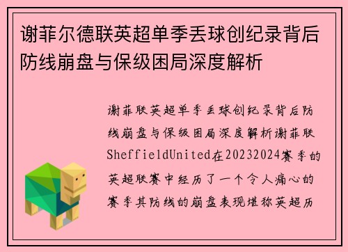 谢菲尔德联英超单季丢球创纪录背后防线崩盘与保级困局深度解析